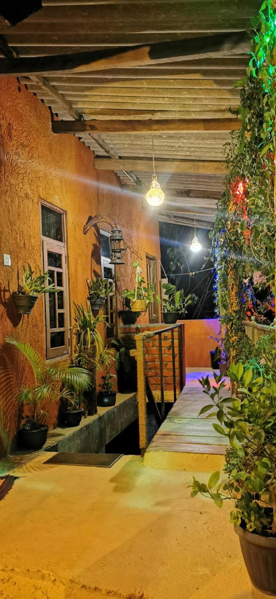 Hostal Tree House Ella Ngoại thất bức ảnh