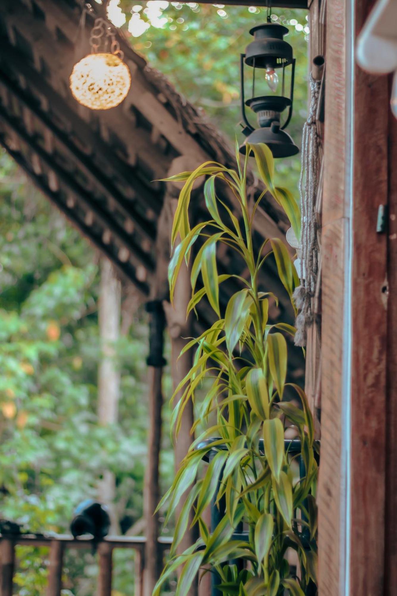 Hostal Tree House Ella Ngoại thất bức ảnh