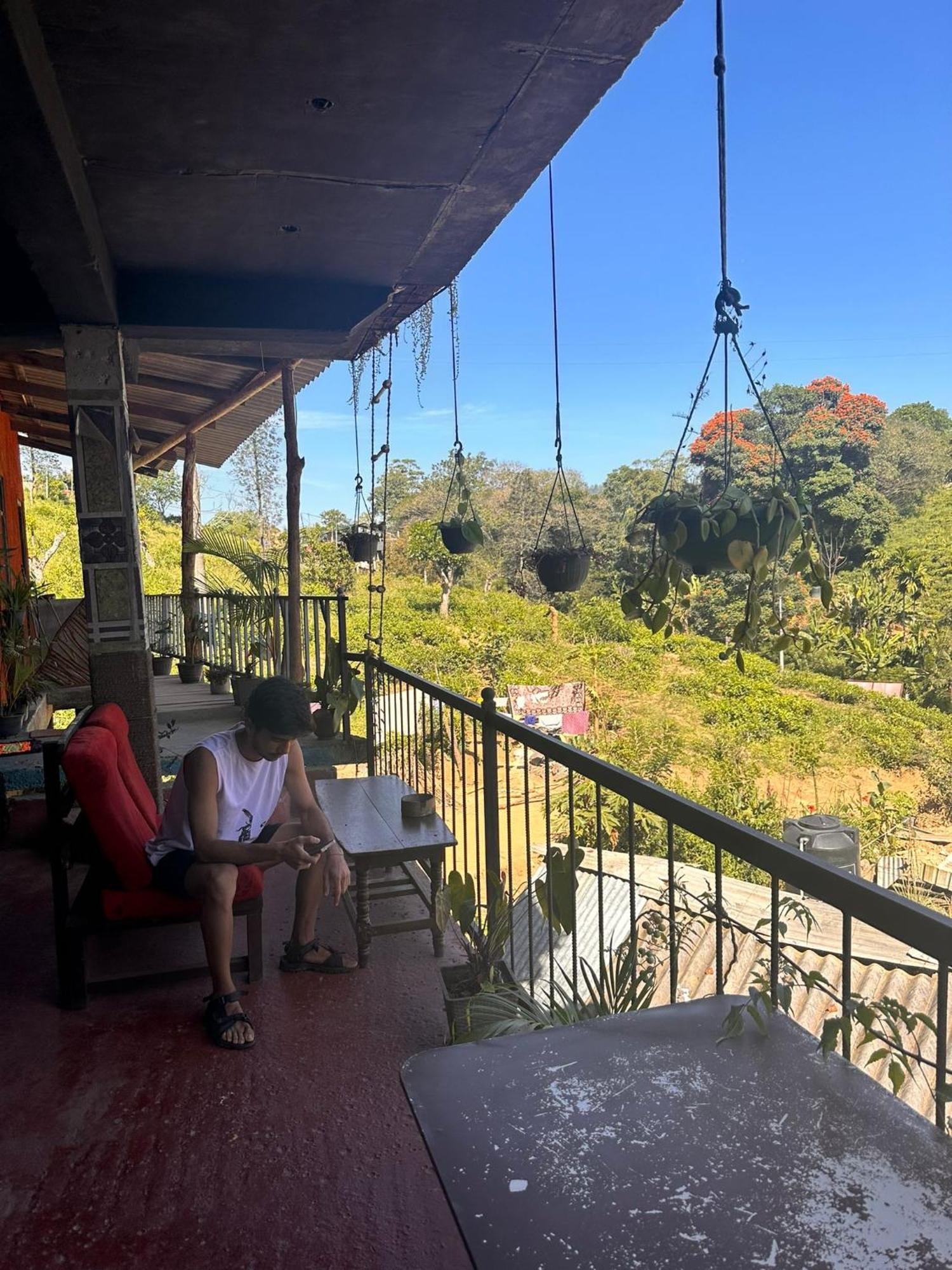 Hostal Tree House Ella Ngoại thất bức ảnh